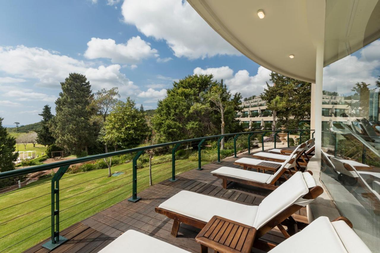 Carmel Forest By Isrotel Exclusive Bet Oren Zewnętrze zdjęcie